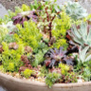 Meet your Posher, Liz